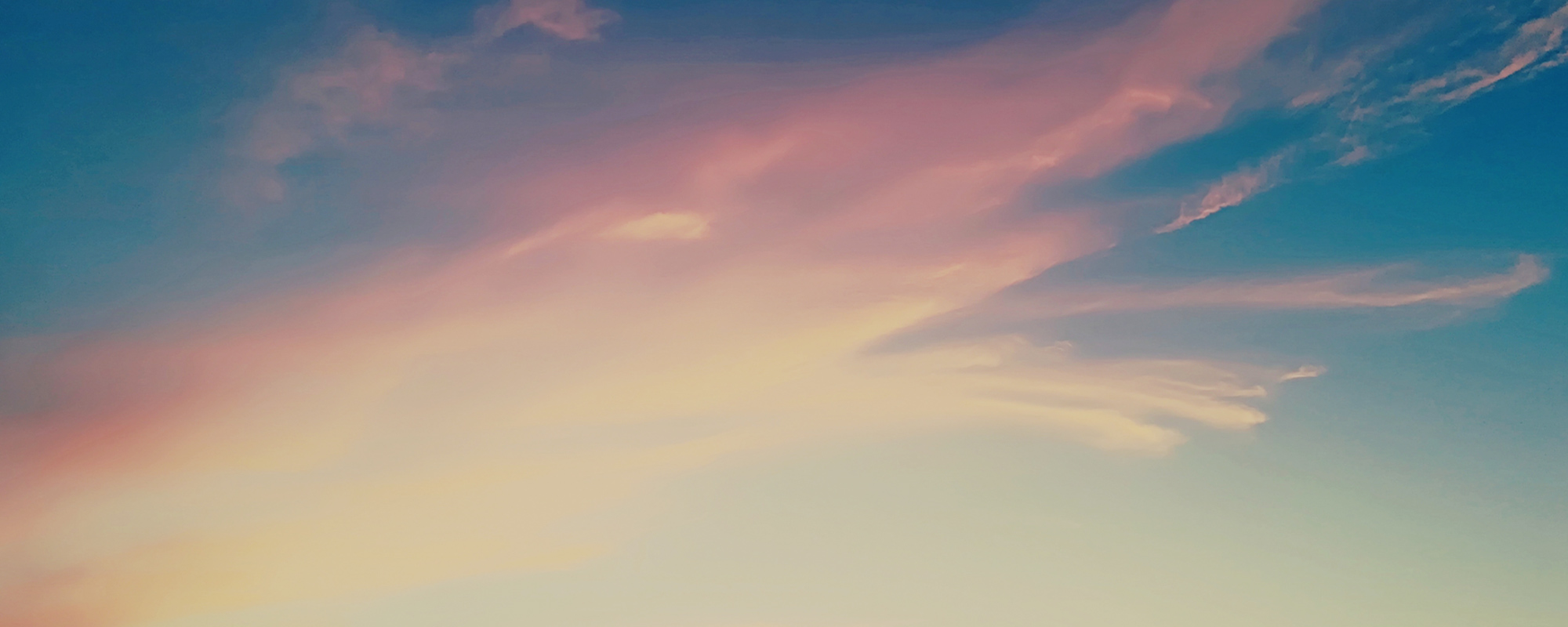 株式会社荒屋鋪建設